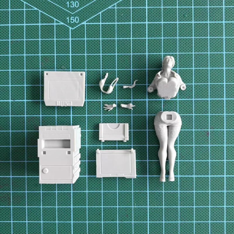 1/24 Scale Die-Cast Resin Figu - Model Kit Waifu 리뷰 및 가격