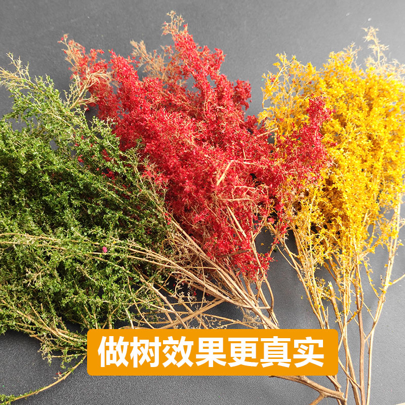 10G/Bag Miniature Tree Leaf Po - Model Kit Locomotive 리뷰 및 가격