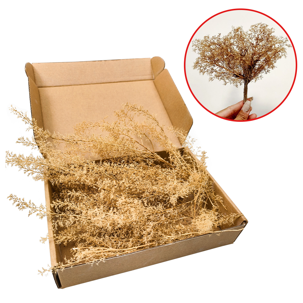 Miniature Dry Grass Model Thor - Model Kit Locomotive 리뷰 및 가격