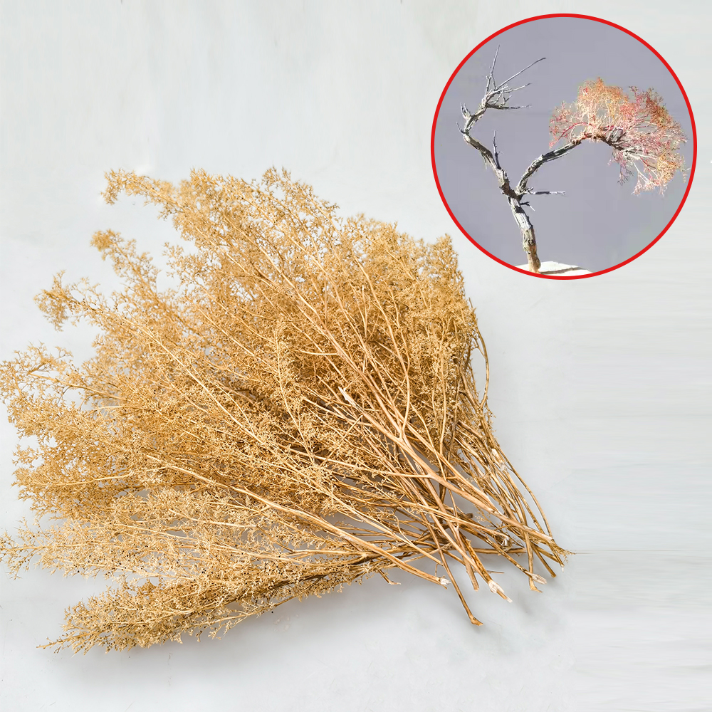 Miniature Dry Grass Model Thor - Model Kit Locomotive 리뷰 및 가격