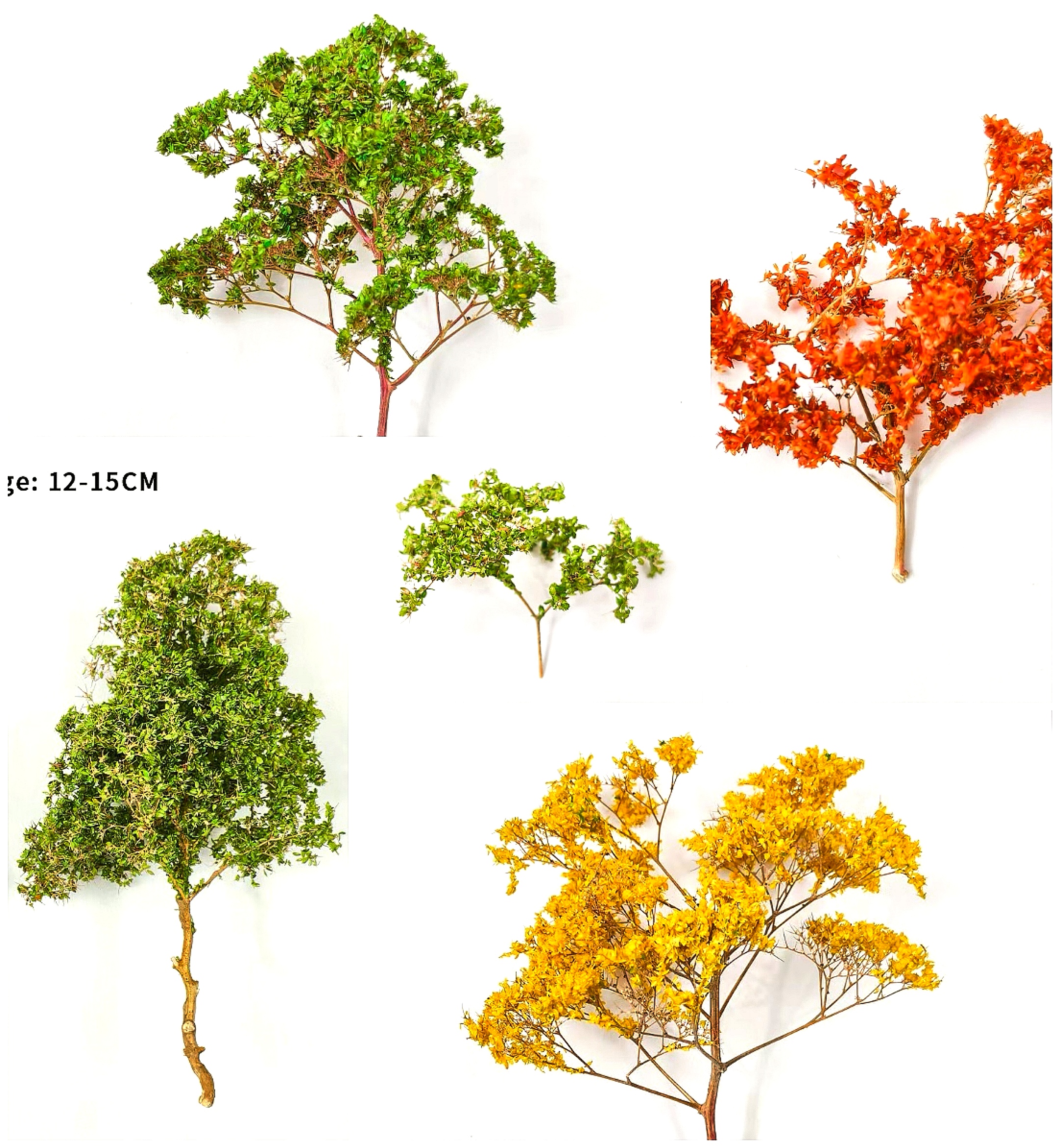 Miniature Dry Grass Model Thor - Model Kit Locomotive 리뷰 및 가격
